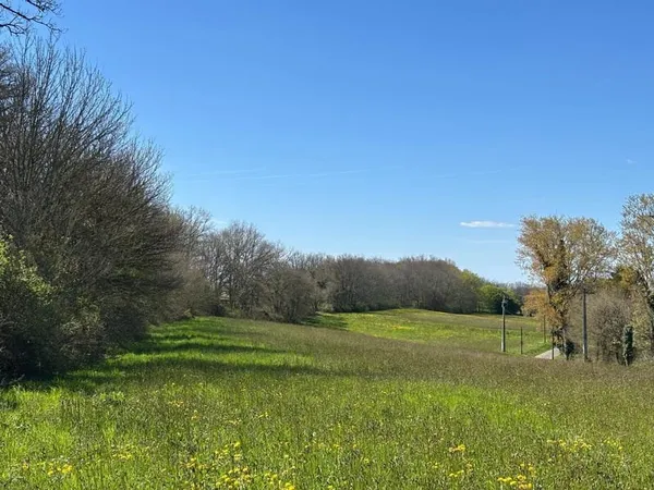 Terrain constructible