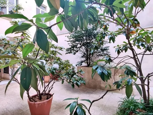 Appartement 1 pièce 25 m²