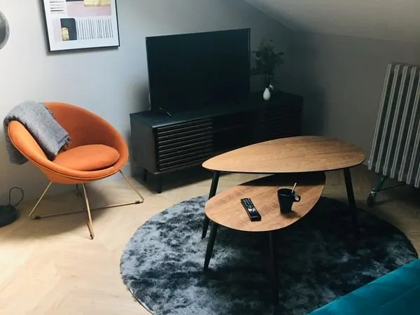 Appartement T2 meublé à louer Plein centre