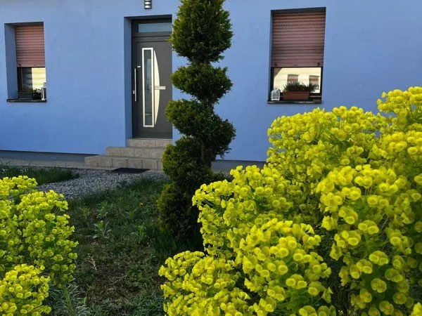 Loue maison à Seltz