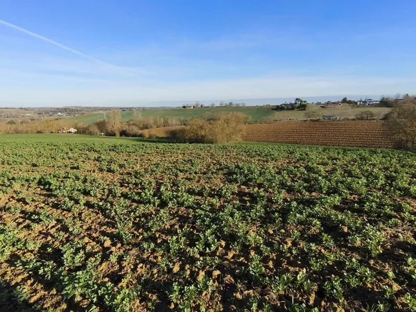 Terrain de 2511 m2 à 2 minutes de GIMONT avec vue dégagée