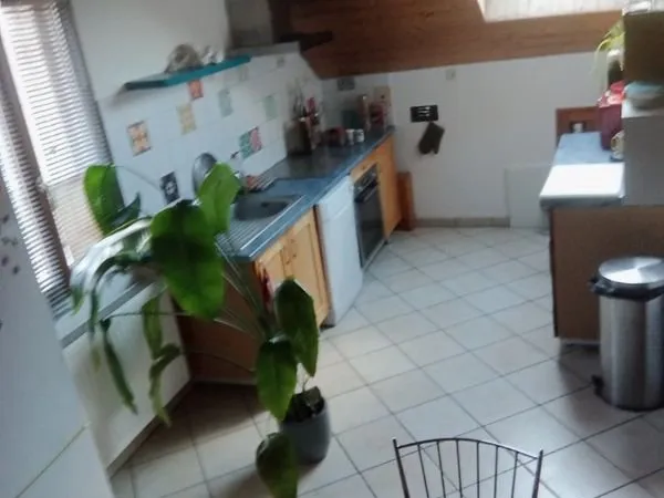 Appartement en colocation
