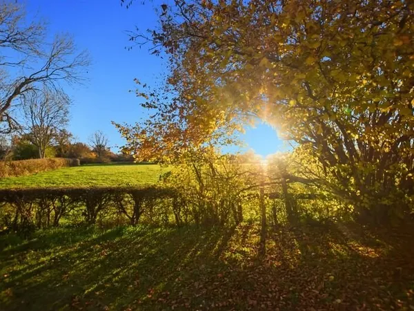 Longère de 136 m2 avec 6900 m2 de terrain, dépendances à Saint emiland