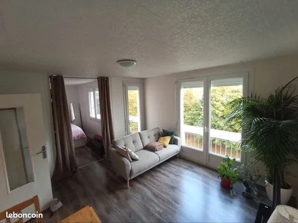 Appartement avec locataire en place ,