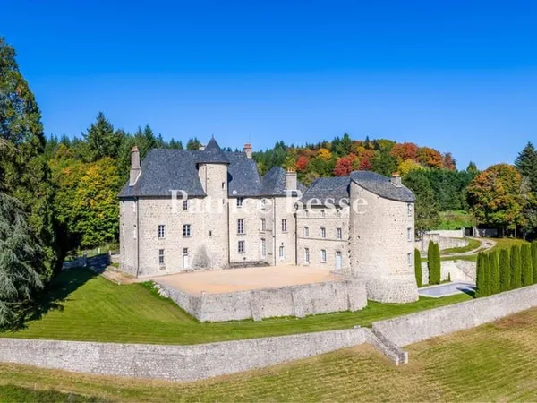 En Haute-Corrèze, à la lisière d'un village, un château du 15e s. Restauré, avec dépendances et étan