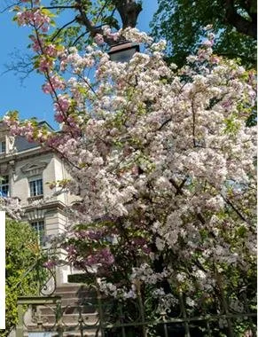Achat : Appartement (92170)