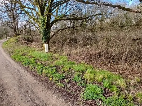 Terrain de 5000 m2