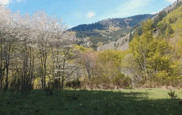 Domaine de plus de 3 Hectares en pleine nature au pied du Mont Gerbier de Jonc