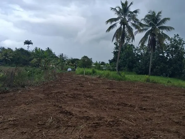 Terrain 1353 m²