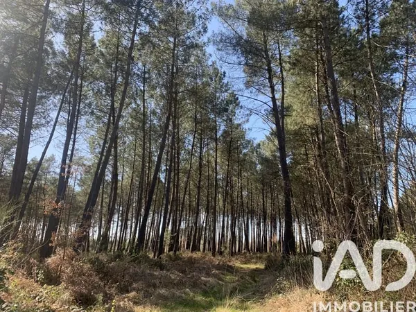 Terrain 67925 m²