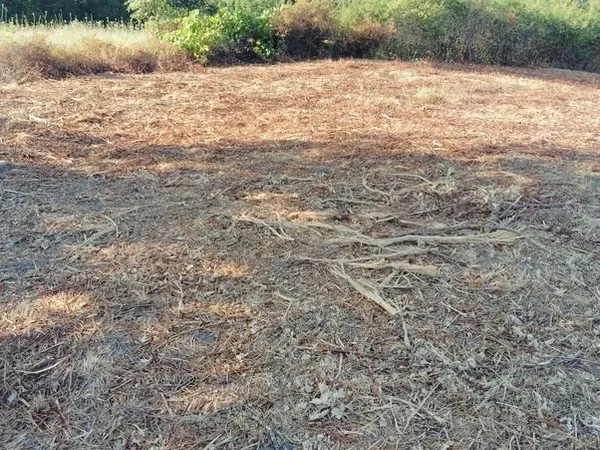 Terrain de 14080m²