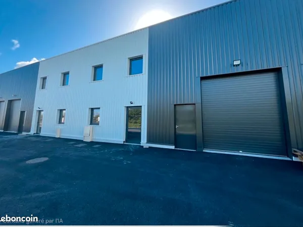 Local 138 M2