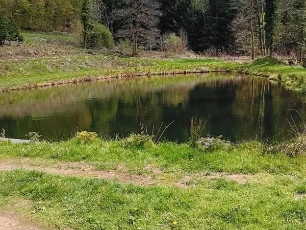 Etang de pêche