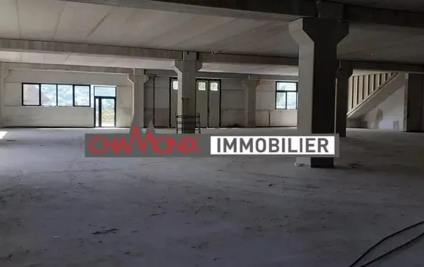Exceptionnel A Passy Immense Local D'activite Neuf