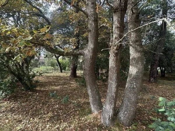 Terrain constructible 549 m²