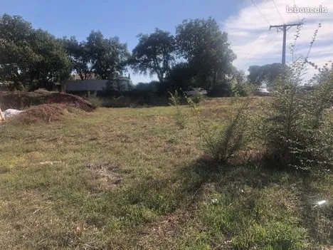A vendre Le cannet-des-maures (Var 83)