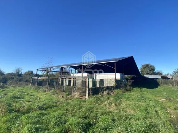 HANGAR AGRICOLE de 500m2