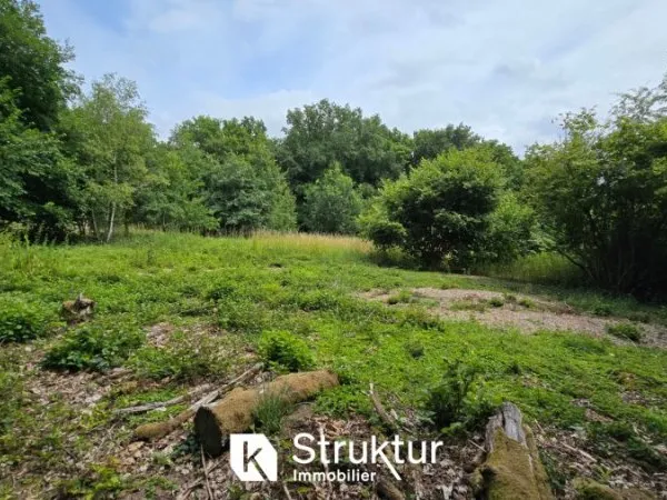 Terrain 1602 m²