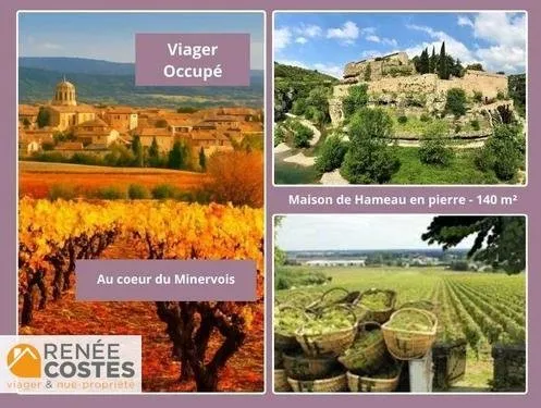 Viager occupé - H82 ans - LA LIVINIERE (34210)
