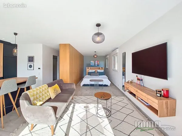 Appartement 1 pièce 47 m²