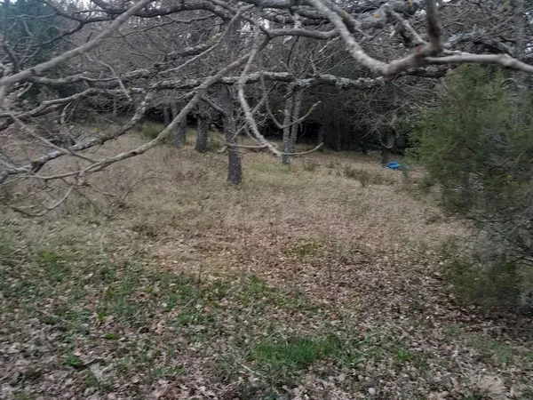 À VENDRE - Terrain constructible à Rutali - Lotissement calme et arboré - 966 m²