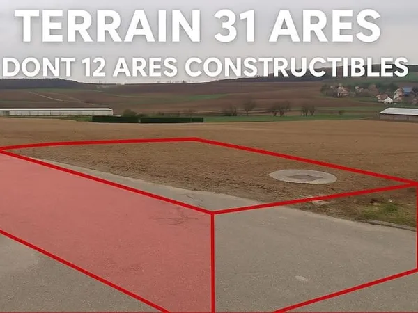 Terrain 3119 m²