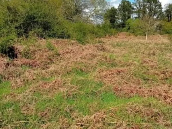 Beau terrain non constructible 5520m2