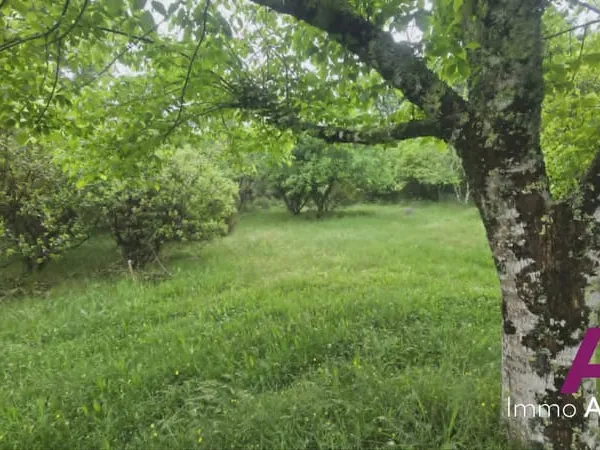 Terrain de 5 009 m² dans un cadre naturel privilégié.