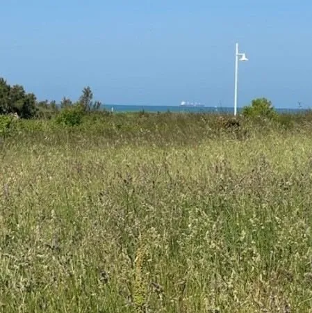 Terrain 402 m² Chatelaillon Plage