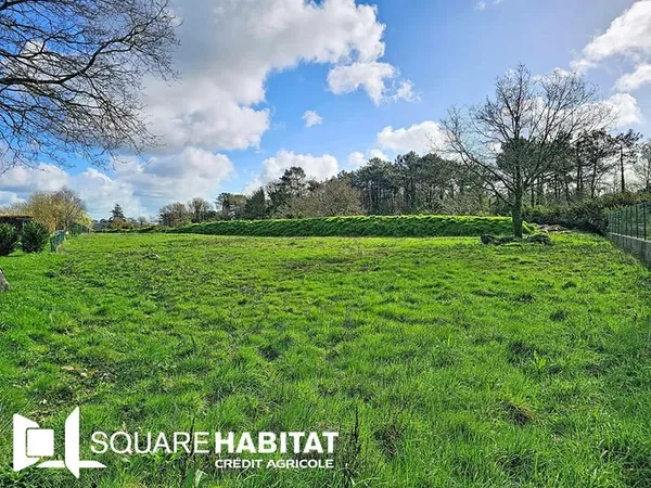 Terrain constructible Elven 2046 m2