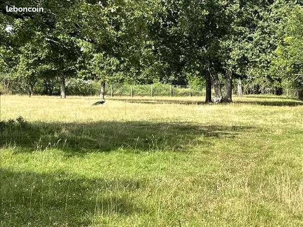 Terrain 1 592 m² Choussy