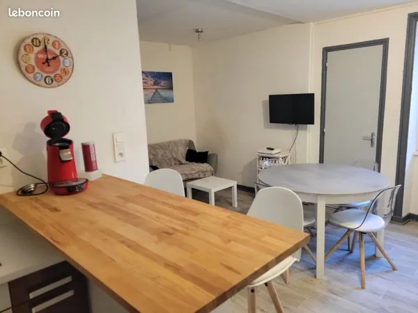 Centre ville - Joli T3 meublé en rez de chaussée