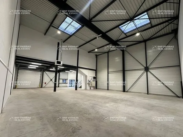 Local d'activité 874 m²