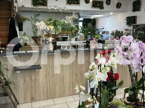 Boutique 118 m²