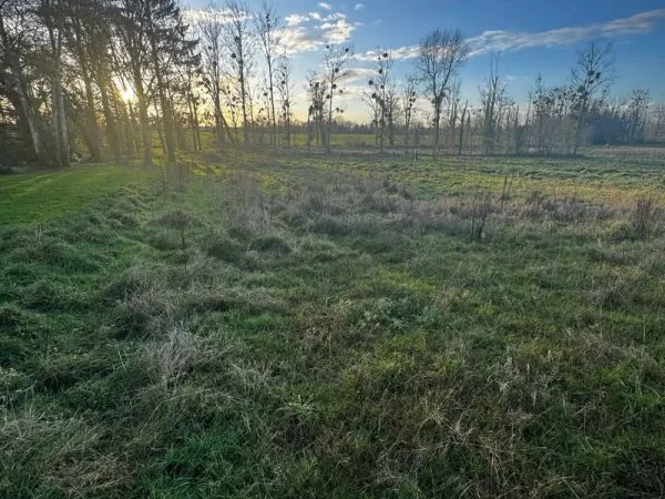 Terrain à bâtir Vente Hédé-Bazouges  349m² 61500€