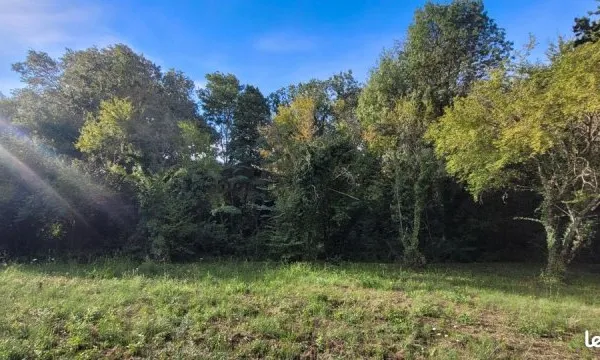 Terrain 3500 m2