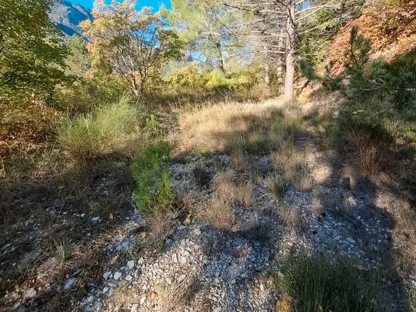 Terrain 7500 m2 touet sur Var