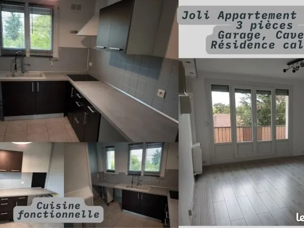 Appartement Amilly La Nivelle