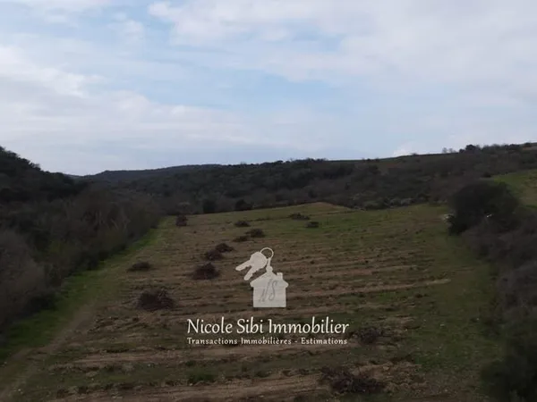 Vente terrain agricole