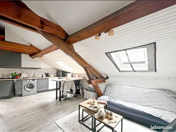 Studio Mezzanine - Hyper centre ville