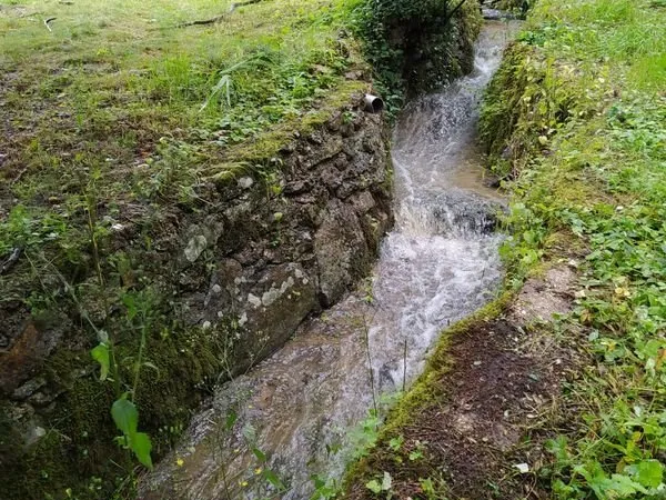 Terrain à bâtir 3000m2 bois Frémy 77