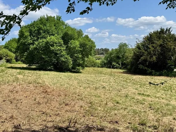 Terrain 1300 m²