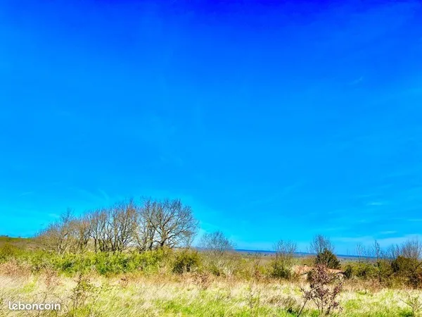 À Saisir : BOURRET Terrain 10220m2 LOTIR (6 lots) ou DIVISION PARCELLAIRE 50min Toulouse,20 min Mont