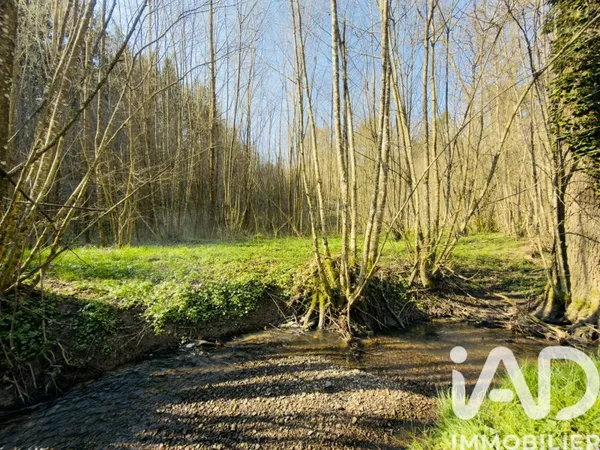 Terrain 4591 m²