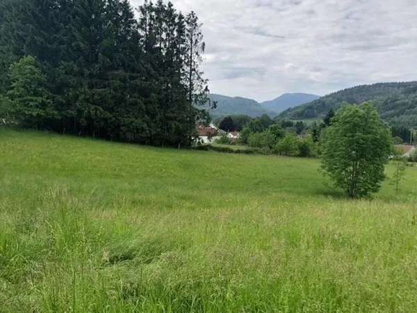 Terrain 3765 m²