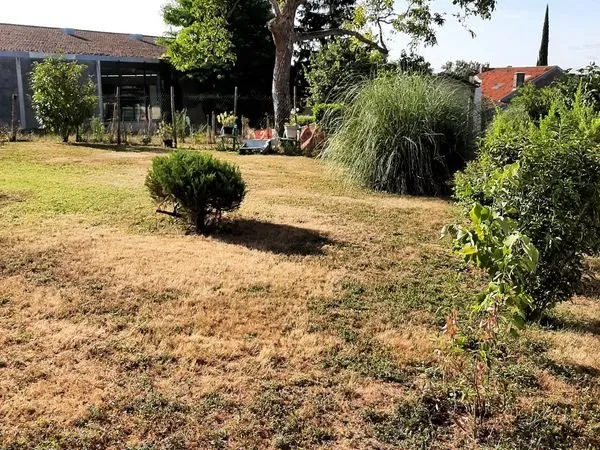 Terrain constructible