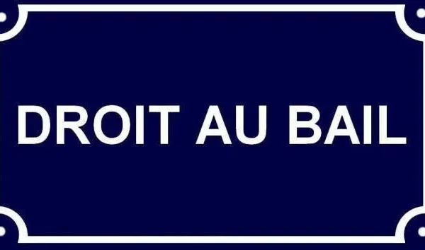 Droit au bail Antiquaire