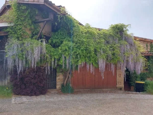Maison en pierre pleine de charme - 150 m² - sans vis-à-vis - dépendance