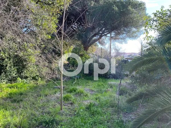 Terrain 581 m²