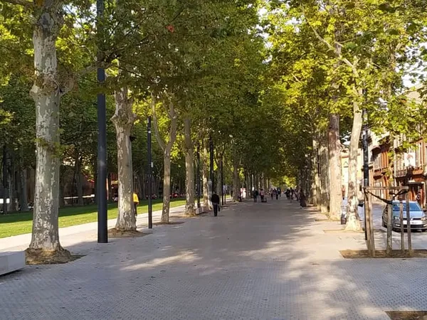 Studio 1 pièce 12 m²
